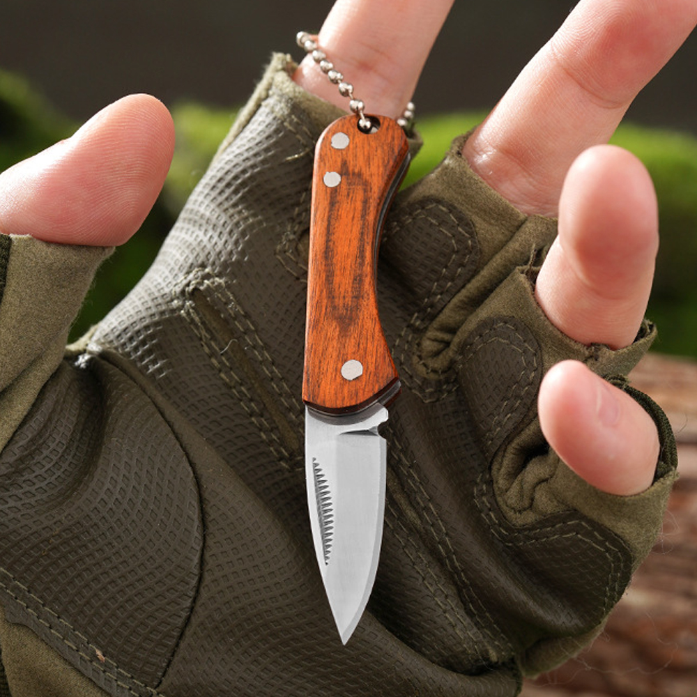 Small Keychain Pocket Knife Ev - Edc (Every Day Carry บทวิจารณ์และราคา