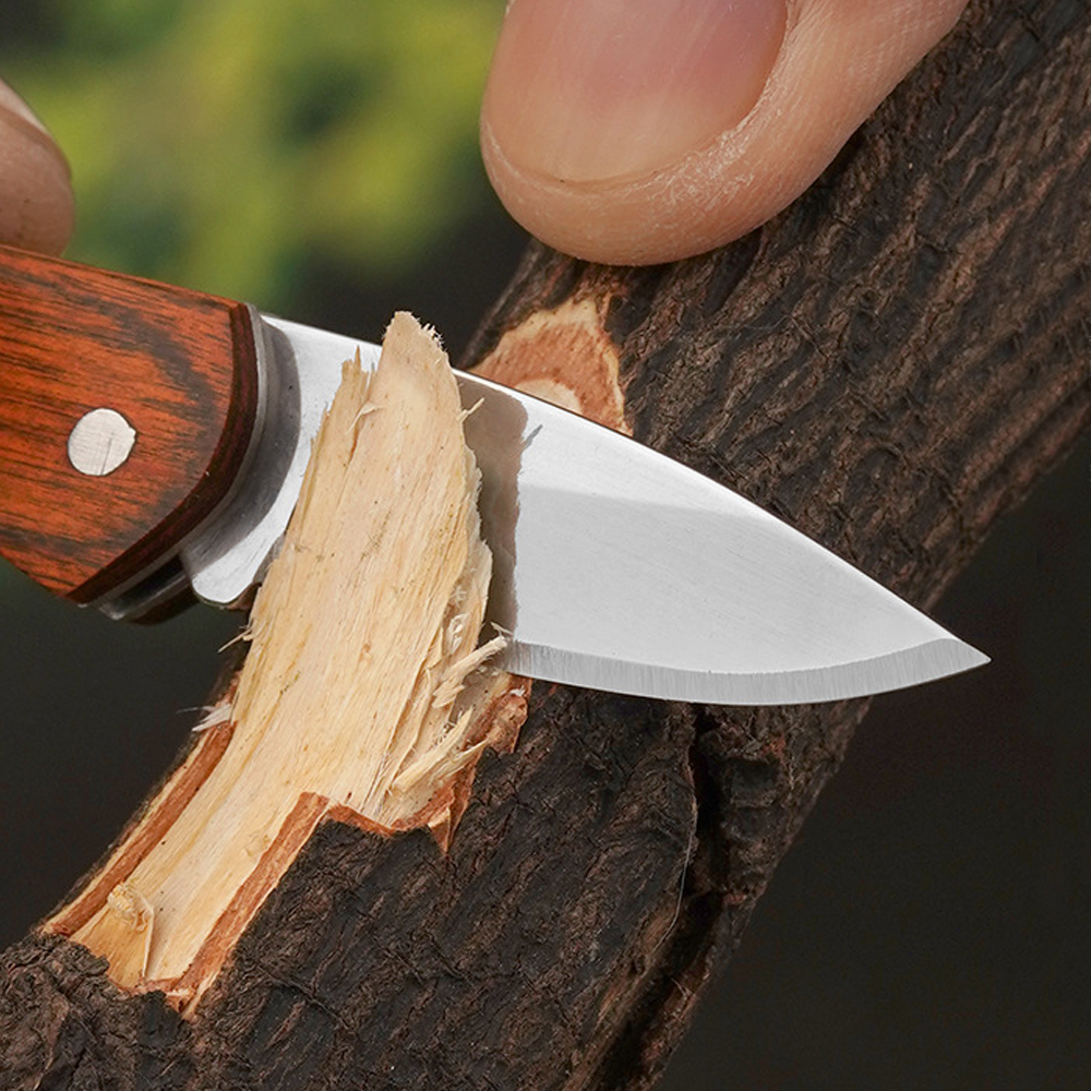 Small Keychain Pocket Knife Ev - Edc (Every Day Carry บทวิจารณ์และราคา
